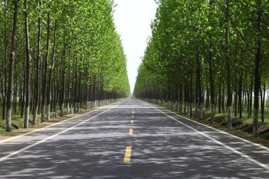 公路、綠化、廣場(chǎng)工程